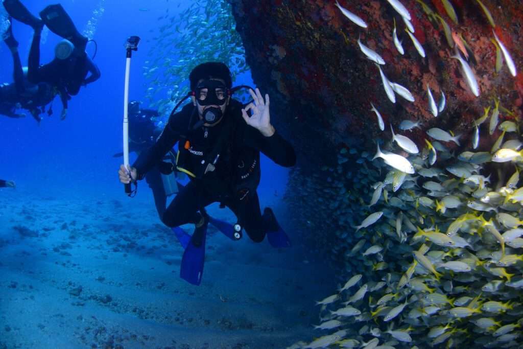 Duiken, snorkelen, curacao, willemstad, vissen, tropische vissen, Ga duiken en ontdek de prachtige onderwaterwereld van Curaçao.