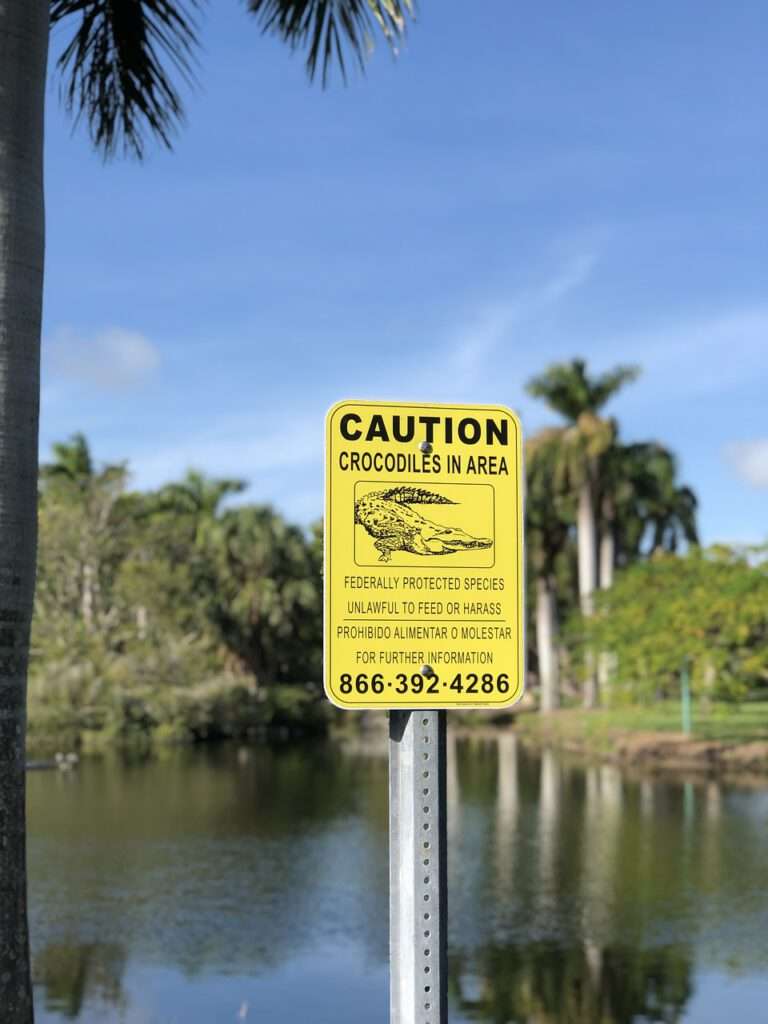 Bezoek het Krokodillen park in Miami