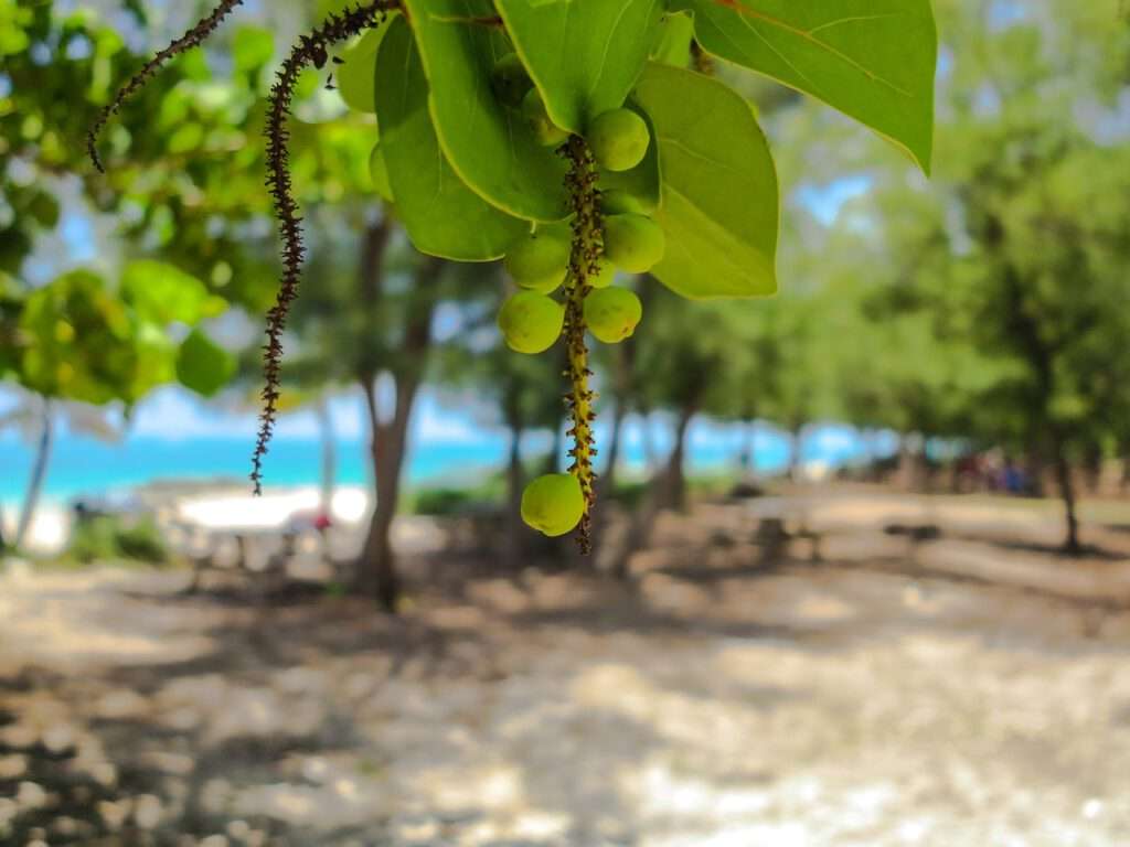 Key West, Miami Beach