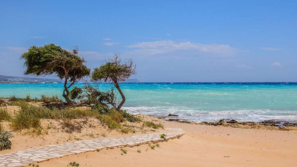 Mooiste stranden Cyprus, Fig Tree Bay, Nissi Beach