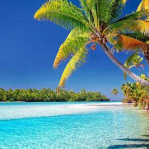 vakantiebestemming, kiesmijnvakantiebestemming, cook islands, beach, palm trees-3998261.jpg