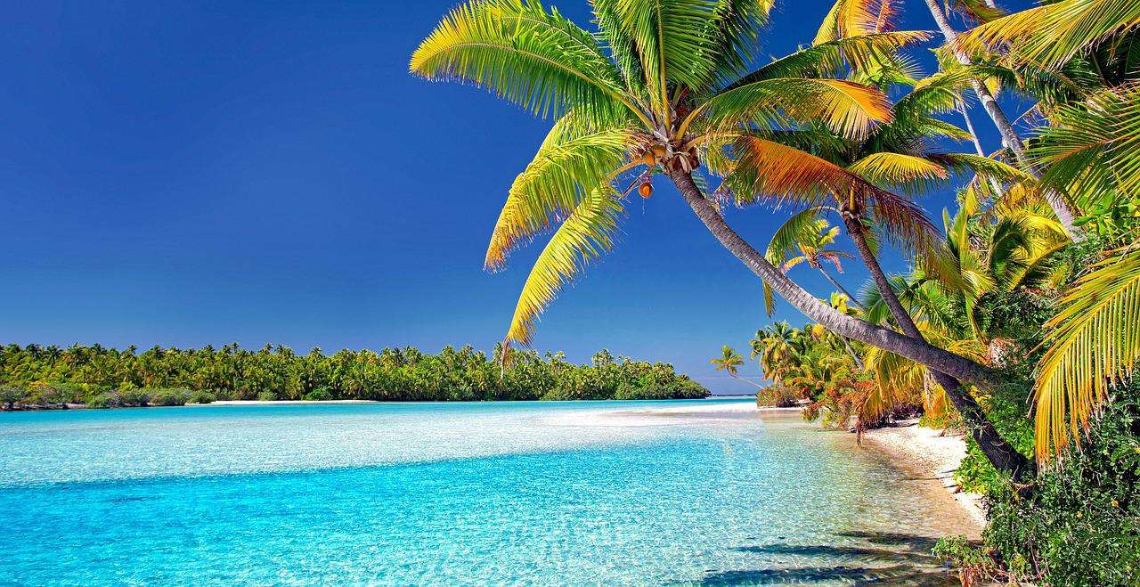 vakantiebestemming, kiesmijnvakantiebestemming, cook islands, beach, palm trees-3998261.jpg