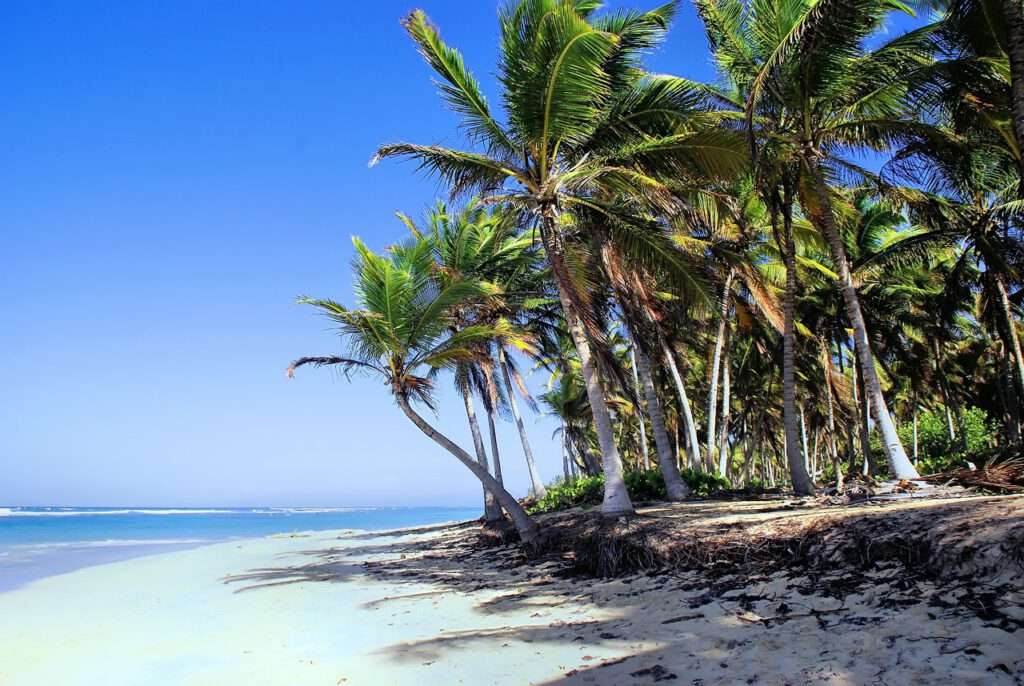 Punta Cana, Dominicaanse Republiek​, vakantiebestemming parels, dominican republic, punta-cana, shore-5107400.jpg