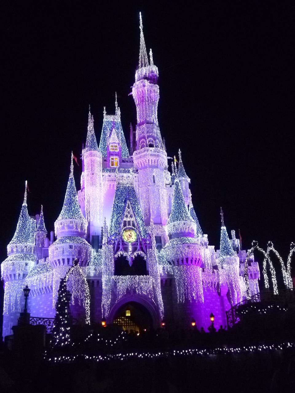 Orlando, Verenigde Staten​, cinderella, castle, avontuur vakanties in Amerika