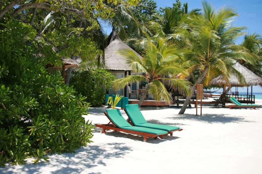 maldive islands, sunbed, vacation-488030.jpg